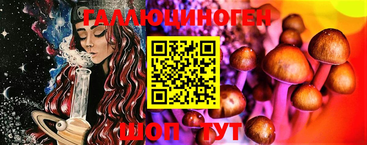 Клинцы  Галлюциногенные грибы ЛСД  Вход с VPN 