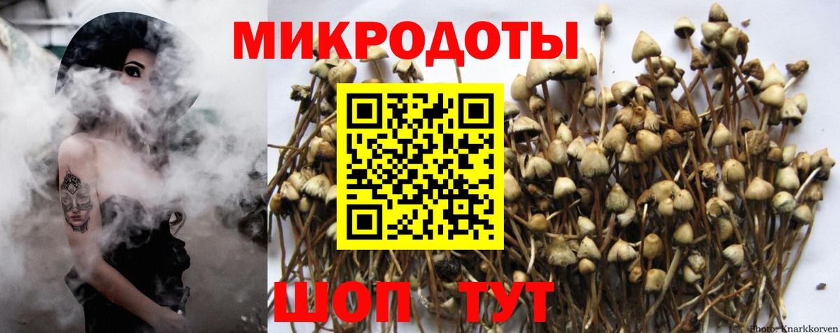 Галлюциногенные грибы мухоморы Клинцы